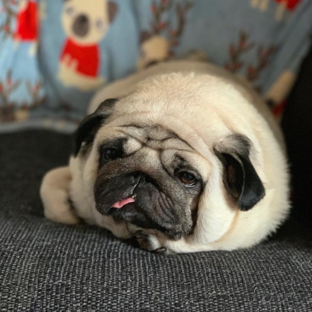 Meet your Posher, Christine